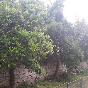  Apartment Kala